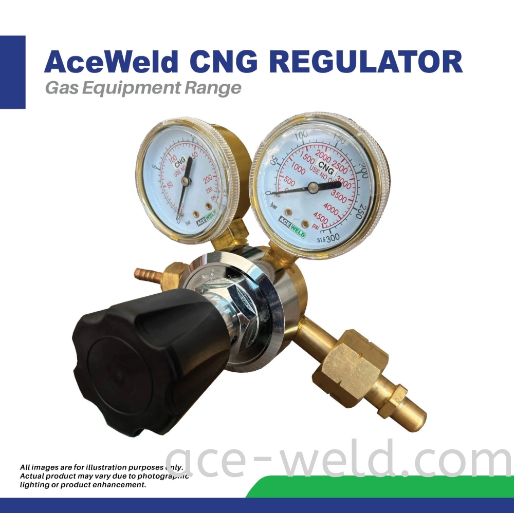 ACEWELD CNG REGULATOR